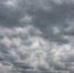 Дрон-камикадзе ВСУ атаковал легковушку с водителем в селе Ясные Зори - Сетевое издание Победа 31
