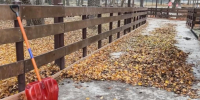 Сотрудники Белгорблагоустройства начали готовить катки в Белгороде к зимнему сезону - Сетевое издание Победа 31