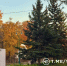 Памятник Ленину вернут в Центральный парк Белгорода - Сетевое издание Победа 31