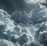 Неизвестный предмет взорвался в руках у парня в Волоконовском районе - Сетевое издание Победа 31