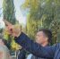 Вячеслав Гладков повторно проинспектировал капремонт школ Белгорода - Сетевое издание Победа 31