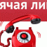 О проведении тематической «горячей линии». - Яковлевский муниципальный округ