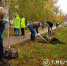 Мэр Белгорода помог в высадке новых деревьев на Богданке - Сетевое издание Победа 31
