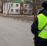 65 пешеходов оштрафовали в Белгородской области за сутки - Сетевое издание Победа 31