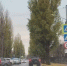 Госавтоинспекция предупредила белгородцев об опасностях на дорогах из-за плохой видимости - Сетевое издание Победа 31