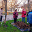 Обновлённый сквер «Комсомольский» привели в порядок в Белгороде - Сетевое издание Победа 31