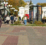 Белгородские учреждения и органы власти завели госпаблики в мессенджере MAX - Сетевое издание Победа 31