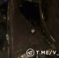 Мэр Белгорода показал последствия прилёта неизвестного боеприпаса в Белгороде - Сетевое издание Победа 31