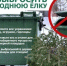Куда выбросить новогоднее дерево?. - Яковлевский муниципальный округ