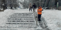 Более 200 человек вышли на расчистку Белгорода от снега - Сетевое издание Победа 31