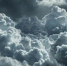 Мирный житель погиб от удара дрона по авто в Новой Таволжанке - Сетевое издание Победа 31
