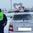 В Белгородской области за сутки выявили 550 нарушений ПДД - Сетевое издание Победа 31