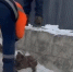 Гладков встретится с зоозащитниками после ЧП в Томаровке - Сетевое издание Победа 31