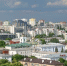 Более 430 белгородских предприятий вышли на международный рынок - Сетевое издание Победа 31
