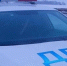 Более 2,2 тысячи белгородских водителей оштрафовали за непропуск пешеходов - Сетевое издание Победа 31