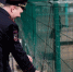 Белгородские полицейские проведут трёхдневную акцию «День добрых дел» - Сетевое издание Победа 31