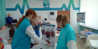 Белгородские школьники сняли более 100 роликов о профессии врача - Сетевое издание Победа 31