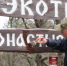 85 человек привели в порядок Монастырский лес в Белгородском округе - Сетевое издание Победа 31
