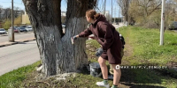 260 человек вышли на массовый субботник в Белгороде - Сетевое издание Победа 31