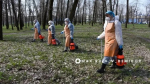 Масштабная обработка от клещей стартует в парках Белгорода